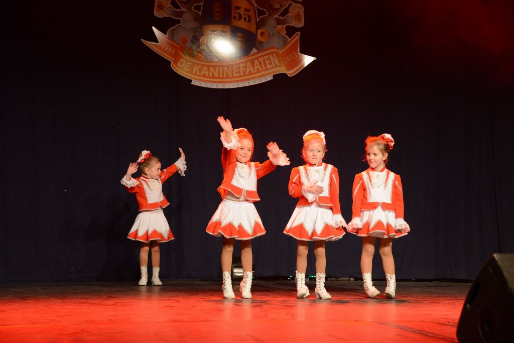 ../Images/Dansmarieke festival 2015 051.jpg